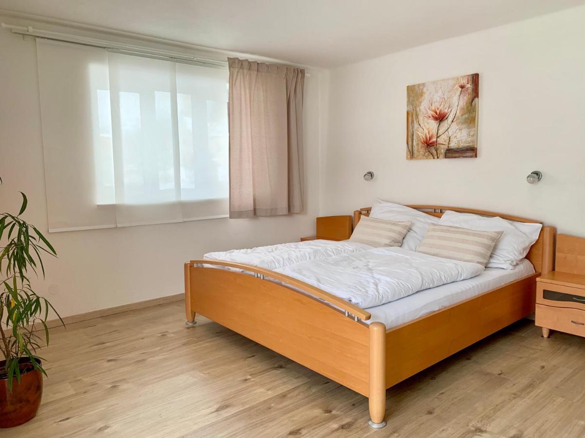 Haus Anna Apartment Ramsau am Dachstein Bagian luar foto